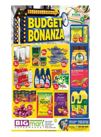 Big Mart Budget Bonanza